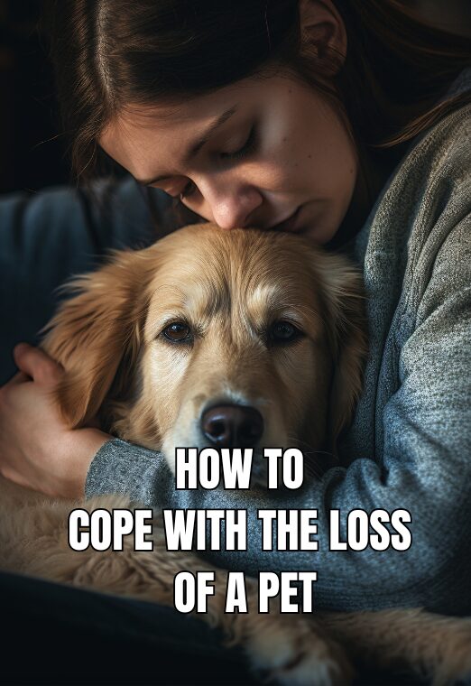 How To Cope With Loss Of A Pet
