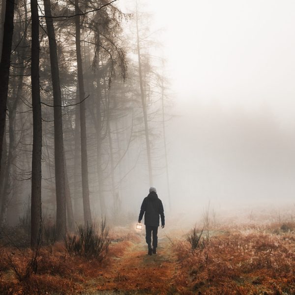 Man walking in a misty woods mobile phone wallpaper