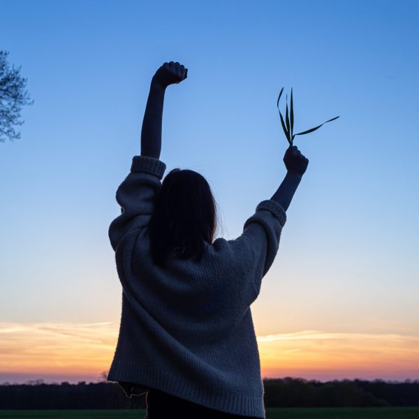 Silhouette of a woman at sunset in a field against the sky, rear view, the concept of freedom and love for nature.